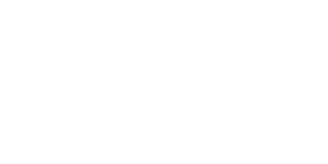 Логотип НПФ Новь